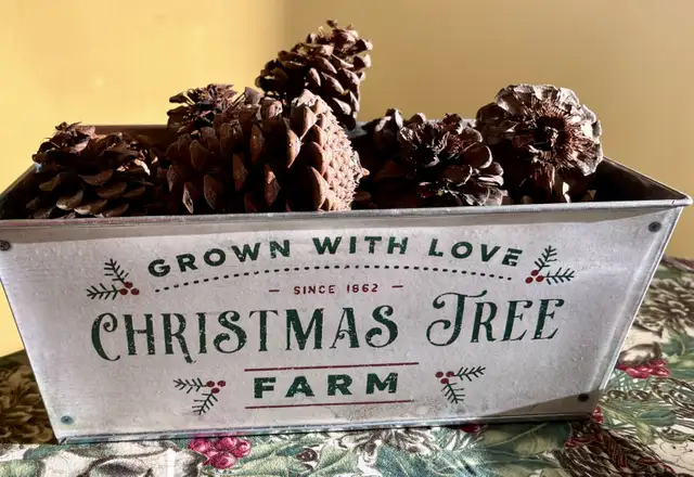Christmas Tree Farm Bucket in Home Décor & Accents in Edmonton - Image 5