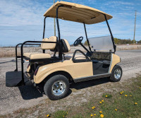 Club Car DS Golfcart 