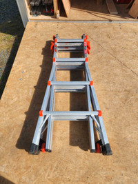 Little giant folding ladder