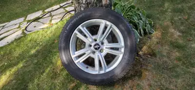The rims fit a 2013 Ford Mustang that was only used during the summer months. The tires are Michelin...