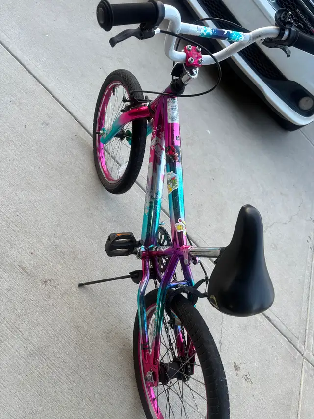 Bicycle449234625155584003
