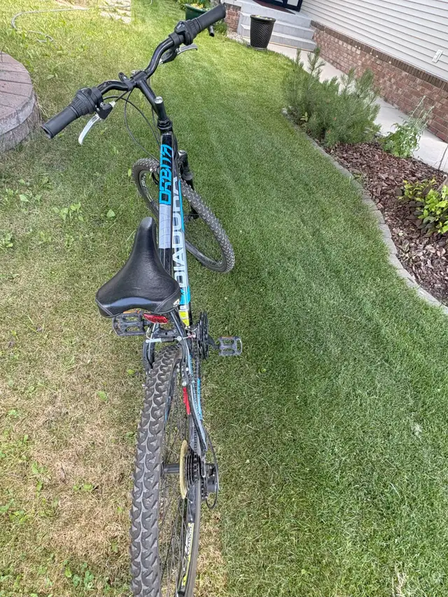 2 Bikes (1 Mountain) for Sale – Lightly Used in Mountain in Calgary - Image 4