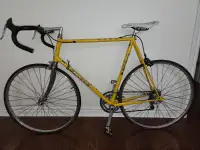 Miele Alfa Road Bike (Made in Canada)