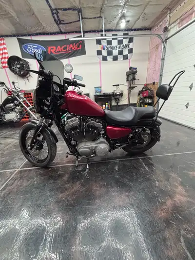 Need gone ! Perfect for a Christmas gift ! Harley Davidson 1200XL Nightster 2008 Runs and rides grea...