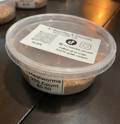 Live Mealworms 250 for $5.00, View more
