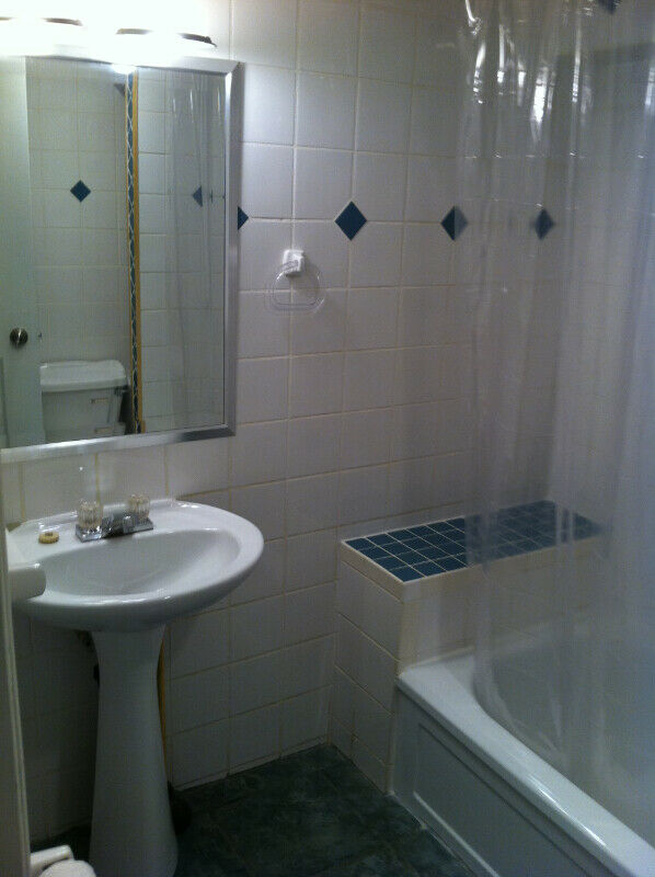 Yonge / Steeles Bright Spacious 2 BDR + Den Private Ent. Laundry 4