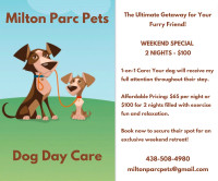 Milton-Parc Pet Sitting!
