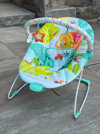 Soothing Motions Bouncy Chair