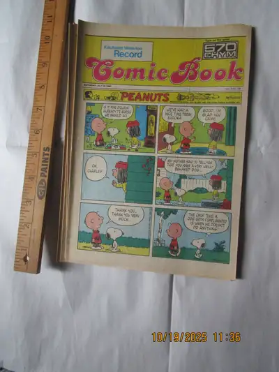 Weekend Comics from Kitchener Waterloo Record, View more