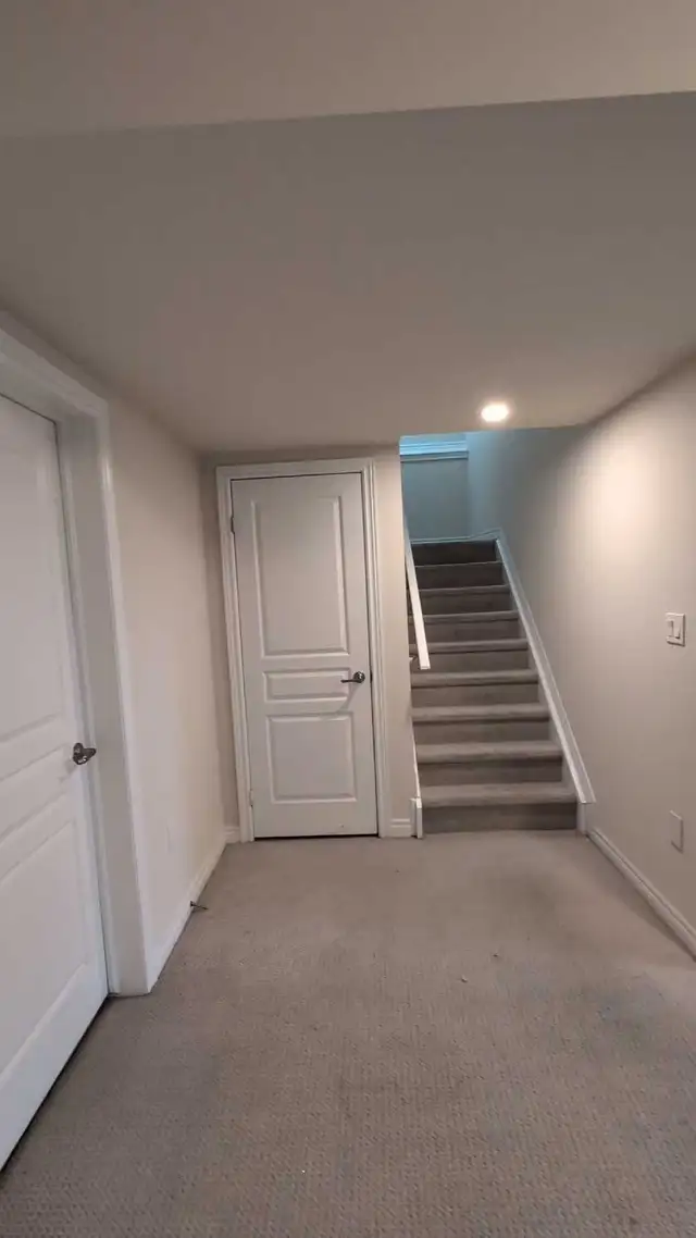 Painter, construction525303516664309767