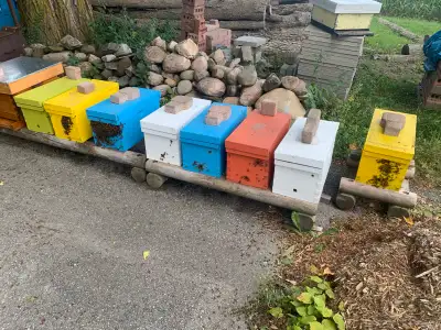 PRICE REDUCTION JULY 16, 2025. Thank you to all of the new bee keepers who purchased Nucs from The F...