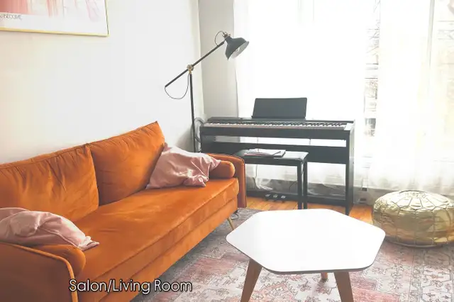 Je cherche un/e coloc. Looking for a roommate. in Room Rentals & Roommates in City of Montréal - Image 6