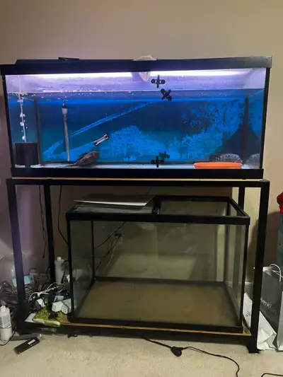 75 & 65 Gallons with mental stand and light Share your reasonable price. Its not free.