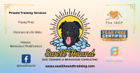 Swell Hound Dog Training and Behaviour Consulting