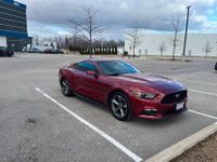 Ford Mustang 2017 Fast back V6 Burugundy color for sale