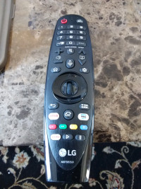 LG magic remote