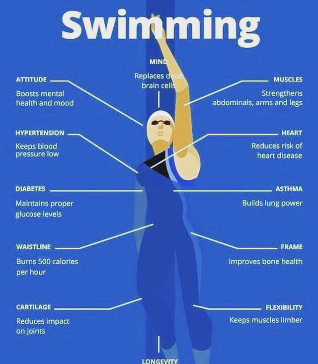Learn to SWIM In Just 6 SESSIONS, Even u Have 0 Swimming skills dans Entraîneur personnel  à Région de Mississauga/Peel