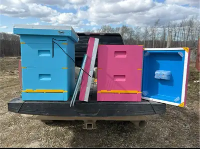 Polystyrene bee hive that doesn’t require winter wrapping! Set up includes: 1 x hive (2 supers, top...