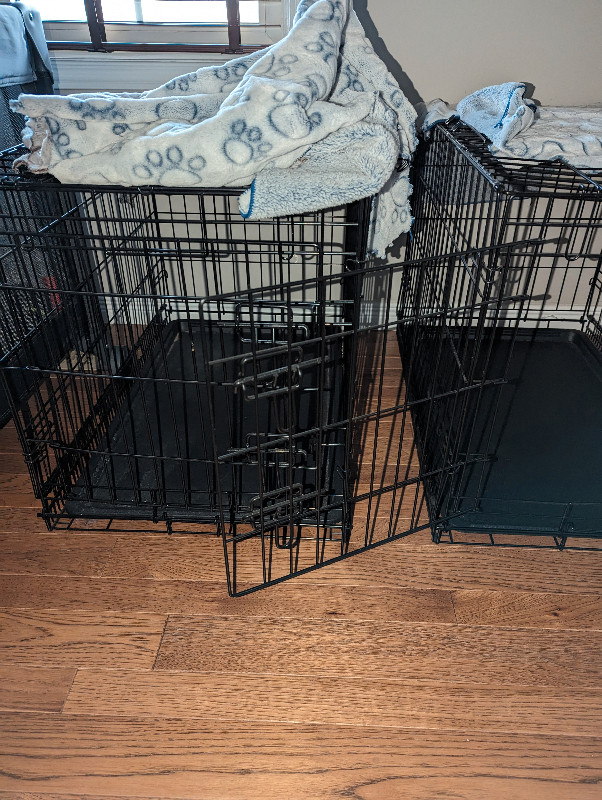 DOG TRAINING CAGES in Accessories in London - Image 2