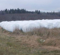 Wrapped silage 