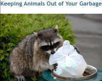 ANIMAL PROOF GARBAGE CONTAINERS.STOP RACCOONS, RODENTS, CRITTERS