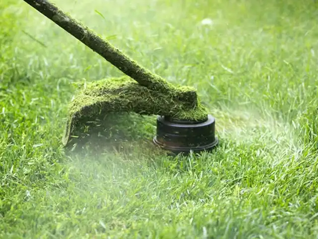 lawn care grass cut in Lawn, Tree Maintenance & Eavestrough in Windsor Region - Image 4