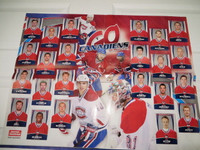 CARTE DE HOCKEY POSTER CANADIENS DE MONTREAL EQUIPE 2010