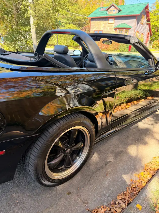 2002 Mustang manual601862351137034247