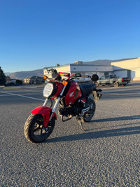 2023 Honda grom