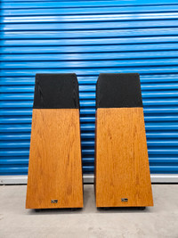 extremely rare vintage OHM Walsh 4XO speakers $2000