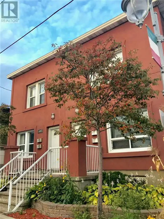 Single apartment for rent  in Little Italy 