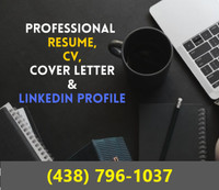 I will provide professional resume writing service