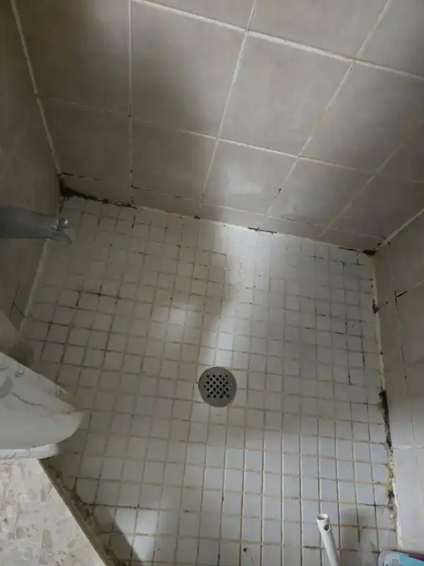 Bath-tub Black Mold Removal, Tile & Grout Cleaning & Caulking63384476708483122