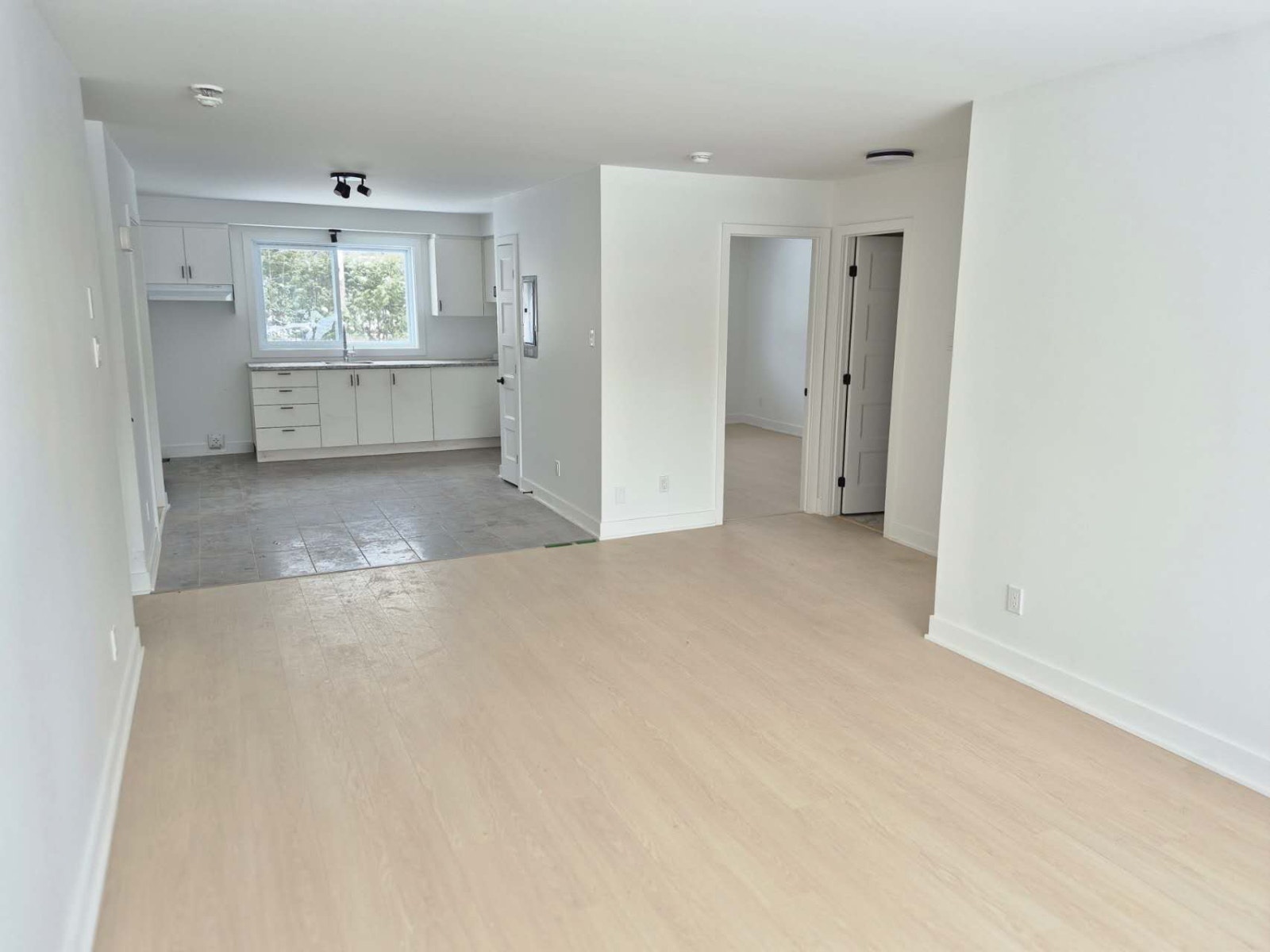 249 Rue Roy — photo 3