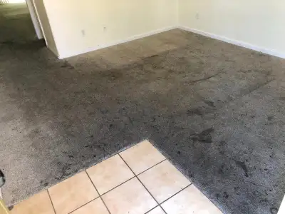 We offer Best and Professional Carpet & Upholstery Solution all Over Ontario Commercial and Resident...