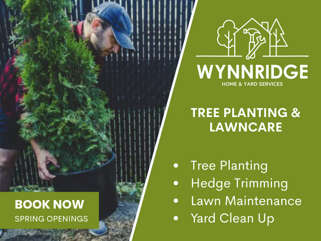 Yard Clean-Up &  Spring Yard Work Help414911075494154241