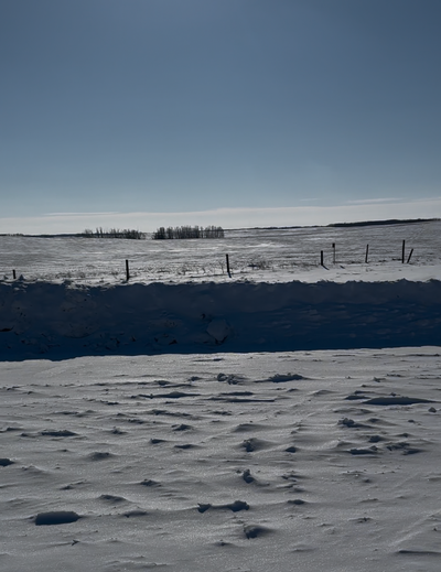 quarter available for crop or cattle.