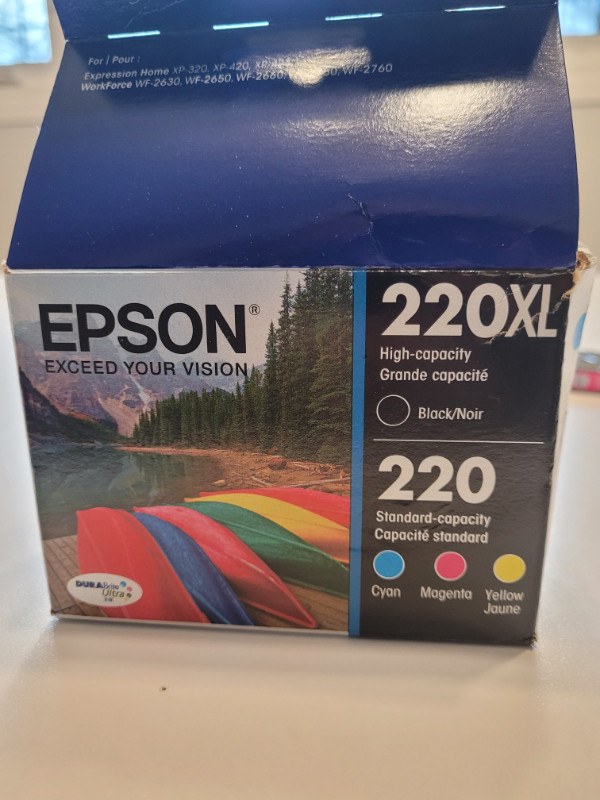 Epson DURABrite Ultra Ink 220 in Printers, Scanners & Fax in Saskatoon