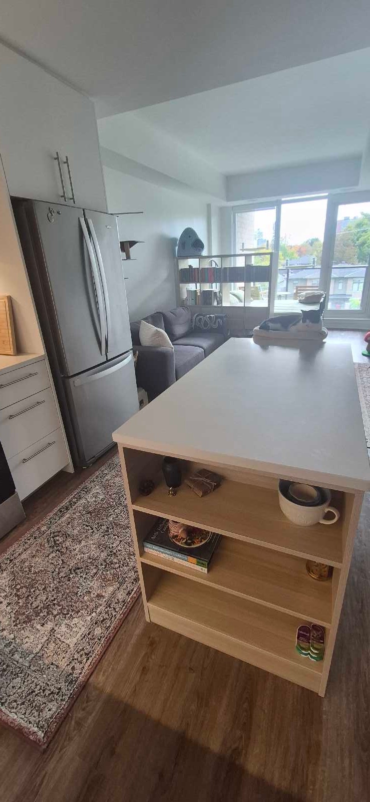 Studio apartment available for November 1 - westboro 2