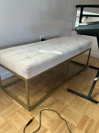 Banc en velour rose, View more