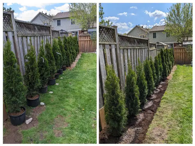 Gardener/ Landscaper Available in General Labour in Hamilton - Image 3