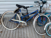 Vintage bicycle(reduced)