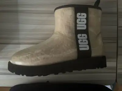 Ugg boots brand new. Never worn. Paid 218$ still have receipt. sz 5