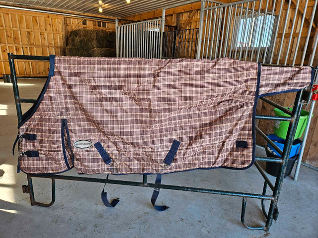 72-76" Horse blankets and sheets in Equestrian & Livestock Accessories in Belleville - Image 2