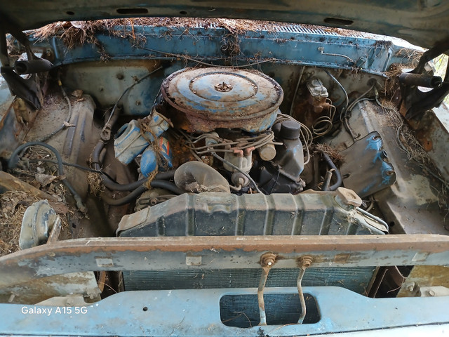 1967 Ford F100 in Cars & Trucks in Pembroke - Image 2