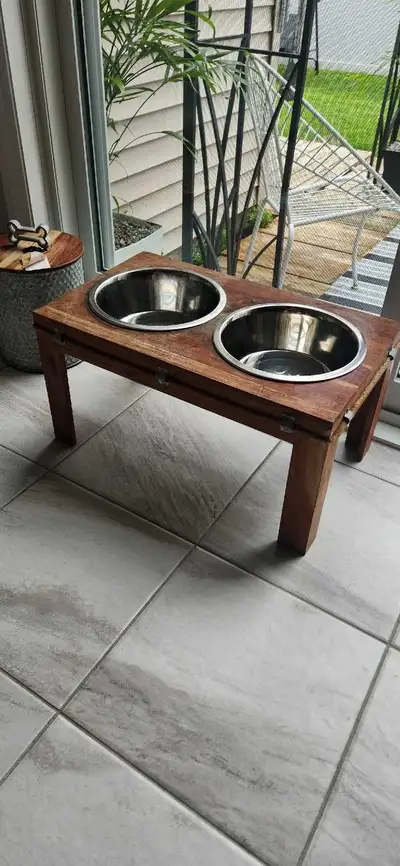 dog dish, View more