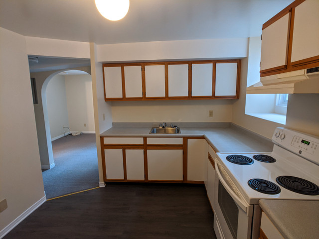 One-bedroom apartment close to Canal & Ottawa U in Long Term Rentals in Ottawa