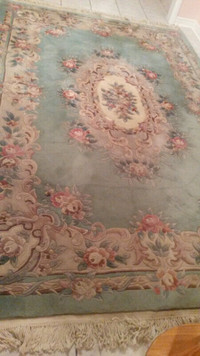 Authentic  Hand knotted Wool Area Rug
