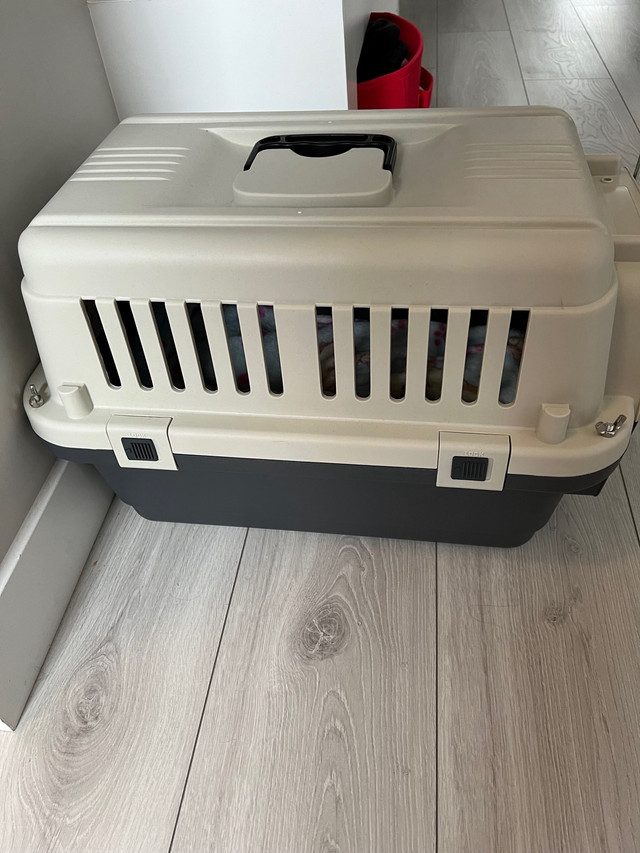 Dog Carrier Plastic Dog Kennel dans Accessories in Calgary