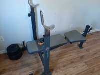 APEX bench press and weights, with bar 